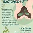 Staroturanské rastlinkovo